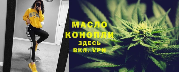 крисы Бронницы