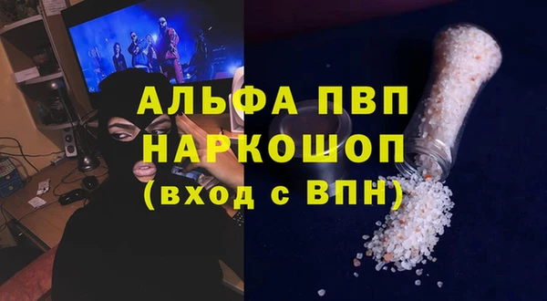 индика Бородино