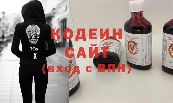 индика Карпинск