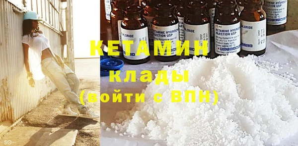 индика Бородино