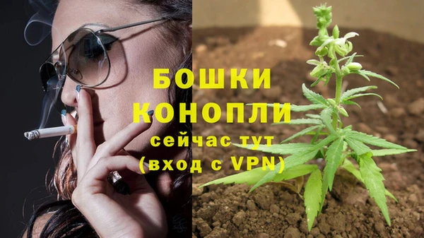 индика Бородино