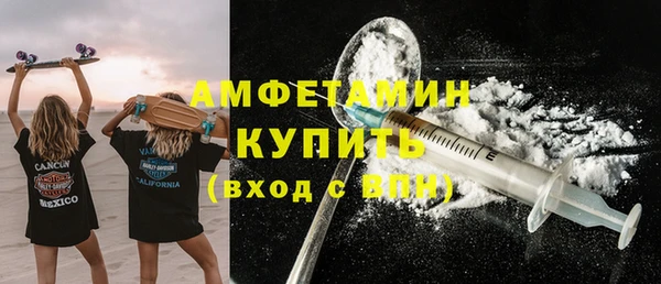 индика Бородино