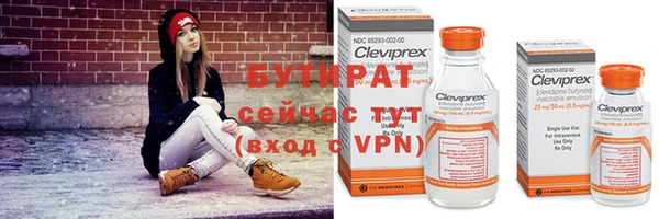 крисы Бронницы