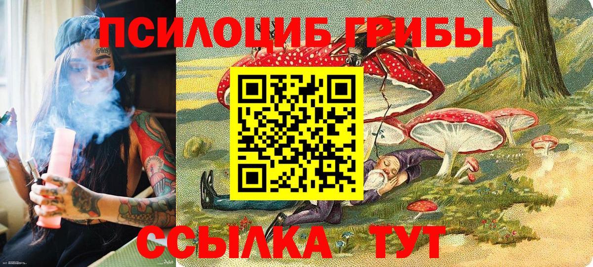 Вятские Поляны  закладки  Вход с VPN  Псилоцибиновые грибы прущие грибы 