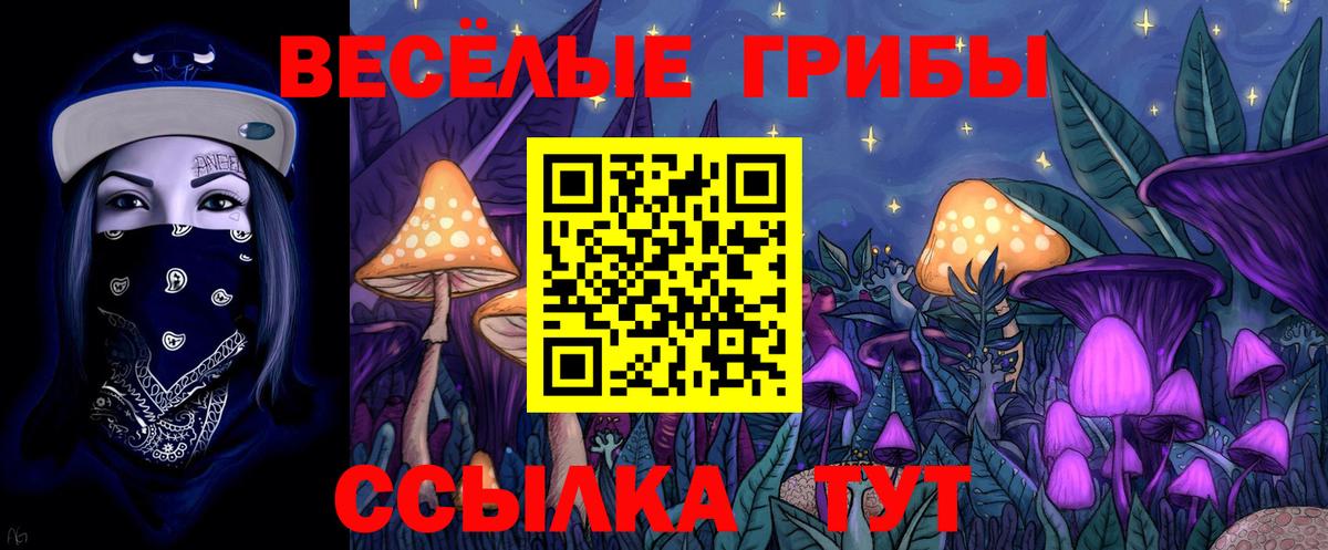 Псилоцибиновые грибы Magic Shrooms  Псилоцибиновые грибы Psilocybine cubensis  Вятские Поляны 