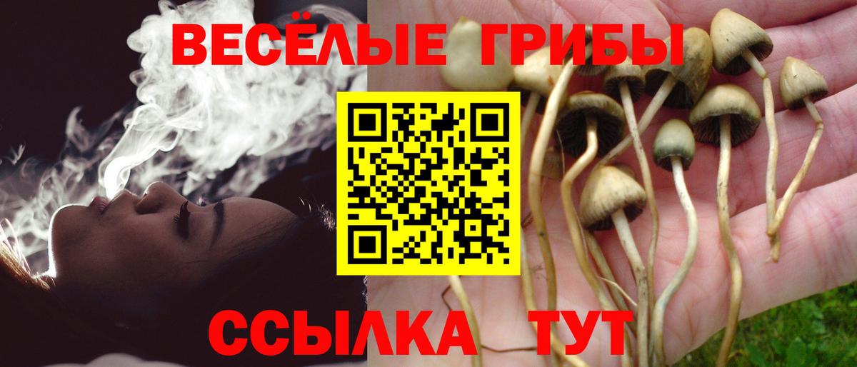 Галлюциногенные грибы Magic Shrooms Вятские Поляны